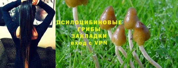 герыч Абаза